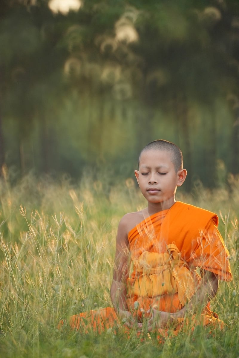 Mindfulness Meditation
